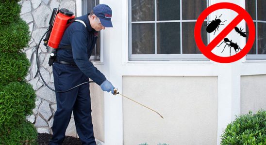 Keçiören Dezenfeksiyon böcek ilaçlama ve haşere kontrolü — ilaclama-tr.com